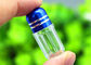 1g Plastic Capsule Bottles Pill PE Single Capsule Shells